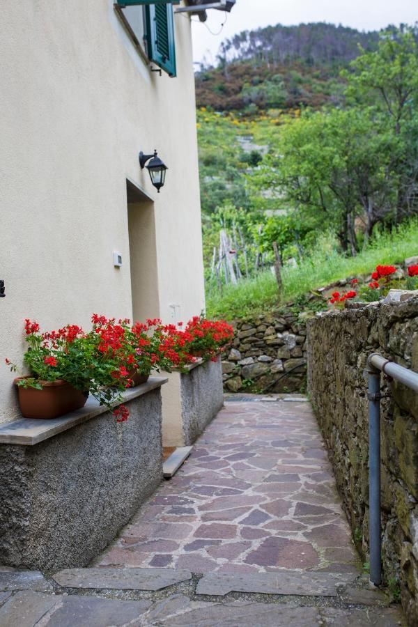 Casa Vacanze Tra Le Mura Леванто Экстерьер фото