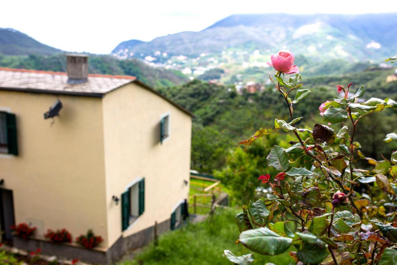 Casa Vacanze Tra Le Mura Леванто Экстерьер фото